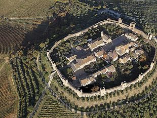 scoperta-piantagione-di-marjiuana-un-arresto