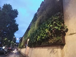 con-27-pareti-verdi-parte-la-forestazione-urbana-di-firenze