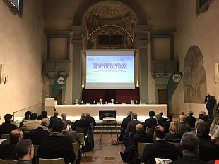 lagricoltura-verso-il-futuro-il-convegno-di-firenze