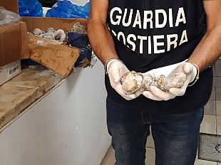 prato-chiusa-pescheria-cinese
