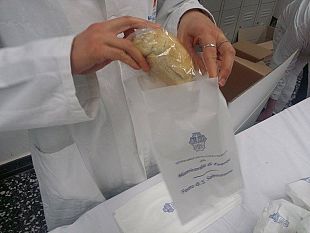 san-sebastiano-patrono-della-misericordia-di-firenze