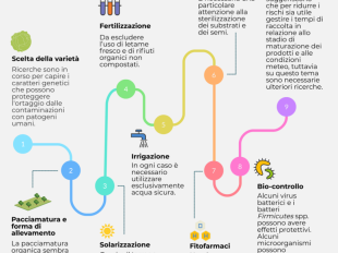 ortaggi-sicuri-rischio-salmonella-ridotto-in-nove-mosse
