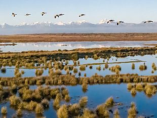 lago-massaciuccoli-2-mln-di-euro-per-progetti-di-risanamento