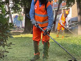 alia-organizza-una-task-force-per-lo-sfalcio-delle-aree-verdi