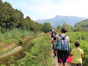 ripartono-le-passeggiate-della-salute