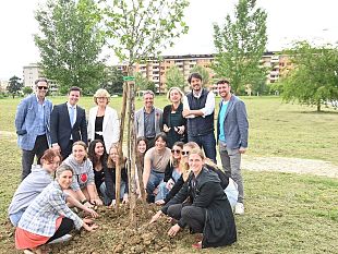 un-albero-piantato-per-ogni-studente-straniero-che-viene-a-firenze