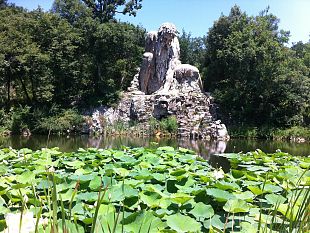 parco-mediceo-di-pratolino-arrivano-30-nuove-piante