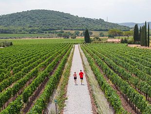 super-tuscan-ecomarathon-il-2-ottobre-2021