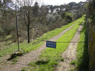 firenze-le-tradizioni-di-pasqua-messe-in-pericolo-dai-cambiamenti