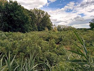 oasi-naturali-ripartono-le-visite