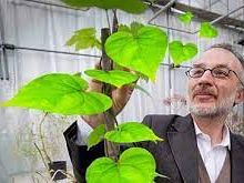 pianeta-terra-festival-lucca-6-9-ottobre-2022