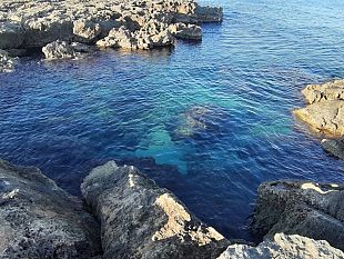 carta-stampata-ledicola-del-sud-in-bocca-al-lupo-dal-centro