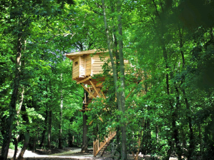 vacanze-alternative-nel-2020-dalla-natura-le-soluzioni