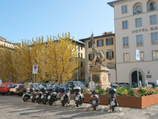 nuovi-alberi-in-mezzo-al-cemento-al-via-la-forestazione-urbana