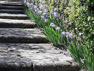 apertura-del-giardino-delliris