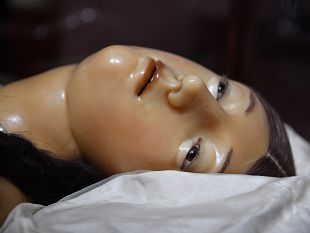 scienza-riapertura-della-specola-un-museo-speciale