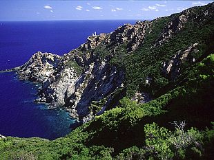 ripartono-da-portoazzurro-le-visite-guidate-alla-scoperta-di-montecristo