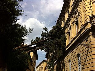 maltempo-lunedi-la-scuola-don-milani-nel-quartiere-4-restera-chiusa