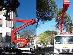 lotta-alla-processionaria-gli-interventi-a-san-casciano