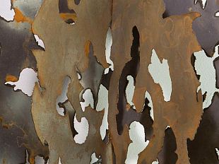 b311232206-continuum-di-deval-fino-a-dicembre