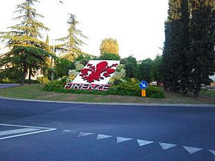 b309212052-mondiali-una-composizione-floreale-per-accogliere-i-ciclisti