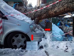 b012201341-a-caccia-dei-responsabili-dei-disagi