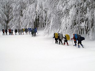 sta-cadendo-finalmente-tanta-neve-sullappennino-tosco-emiliano