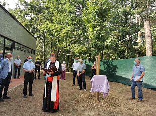 una-quercia-a-ricordo-dei-disabili-vittime-del-covid