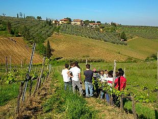 scuola-nel-chianti-corso-per-operatore-della-trasformazione-di-olio-e-vino
