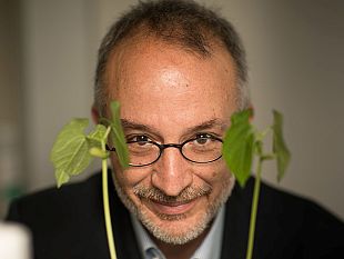 stefano-mancuso-ospite-di-abbecedario-del-reale