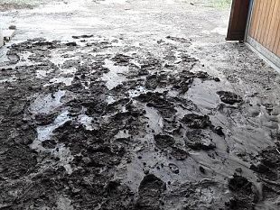 alluvione-di-livorno-giallo-sul-ruolo-della-protezione-civile-comunale