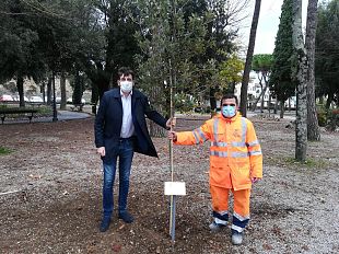 giornata-nazionale-degli-alberi-a-firenze-piantati-1300-alberi-per-altrettanti-bambini