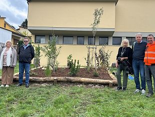 progetto-dei-boschi-didattici-realizzati-da-unicoop-firenze