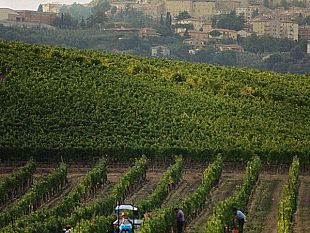 pienza-e-montepulciano-nel-registro-nazionale-dei-paesaggi-rurali