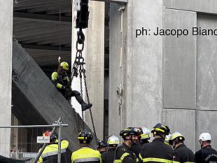 sparavigna-sia-istituito-il-crimine-di-omicidio-bianco