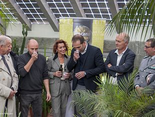 olio-toscano-igp-anteprima-in-diretta