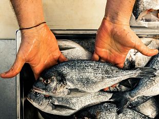 metro-italia-lancia-anche-da-firenze-la-campagna