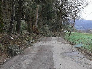 maltempo-le-informazioni-per-i-cittadini-che-hanno-subito-danni