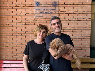 alluniversita-di-pisa-il-primo-impianto-di-pacemaker-su-un-cane
