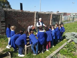 orto-in-cassetta-alunni-coltivano-consumano-mensa-prodotti