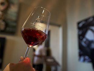 ciliegiolo-di-maremma-e-ditalia-in-scena-la-seconda-edizione