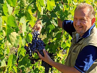 vendemmia-in-festa-e-cena-in-giardino