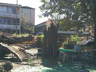 firenze-pulizia-straordinaria