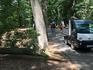 rischio-vento-grecale-forte-torna-a-firenze-il-codice-giallo