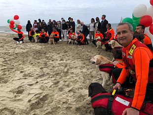 bagnini-a-quattro-zampe-sul-litorale