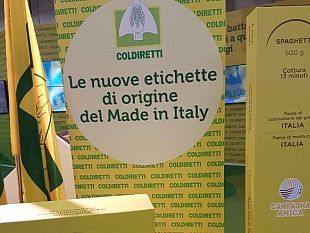 un-pacco-di-pasta-italiana-su-tre-ha-grano-straniero-arriva-etichetta