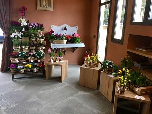 arte-ottone-rosai-torna-allo-chalet-fontana