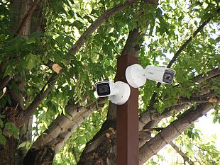 danni-a-fioriere-e-panchine-i-cittadini-risarciranno-il-comune