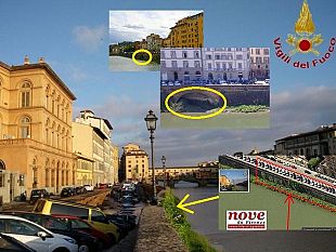 voragine-lungarno-torrigiani-sotto-accusa-manutenzione-ed-utili