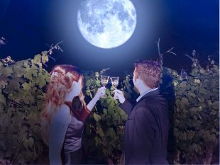 calici-di-stelle-in-21-citta-del-vino-della-toscana